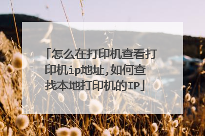 怎么在打印机查看打印机ip地址,如何查找本地打印机的IP
