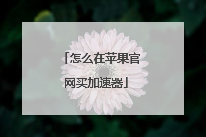 怎么在苹果官网买加速器