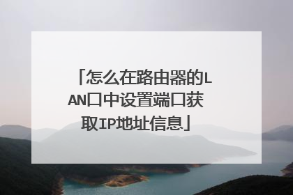 怎么在路由器的LAN口中设置端口获取IP地址信息