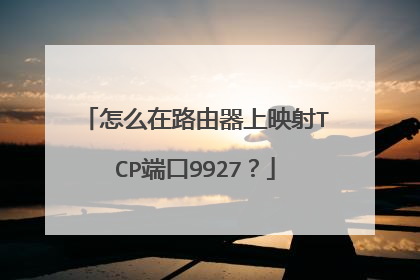 怎么在路由器上映射TCP端口9927？