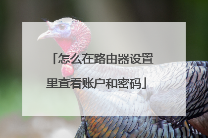 怎么在路由器设置里查看账户和密码