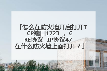 怎么在防火墙开启打开TCP端口1723 , GRE协议 IP协议47 在什么防火墙上面打开?