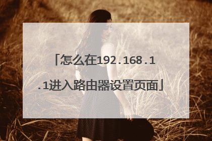 怎么在192.168.1.1进入路由器设置页面