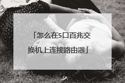 怎么在5口百兆交换机上连接路由器