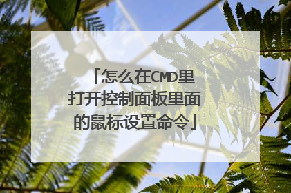 怎么在CMD里打开控制面板里面的鼠标设置命令