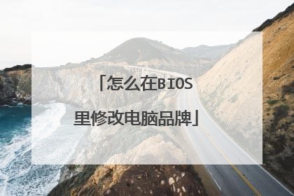 怎么在BIOS里修改电脑品牌
