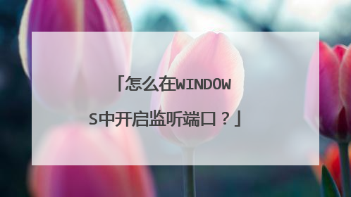 怎么在WINDOWS中开启监听端口?