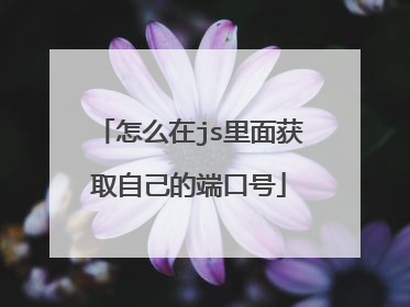 怎么在js里面获取自己的端口号