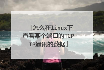 怎么在linux下查看某个端口的TCPIP通讯的数据