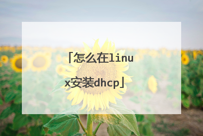 怎么在linux安装dhcp