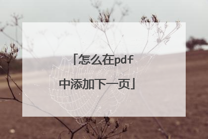 怎么在pdf中添加下一页