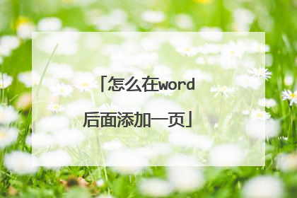 怎么在word后面添加一页
