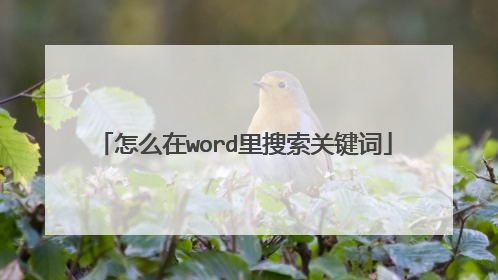 怎么在word里搜索关键词
