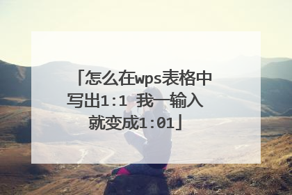 怎么在wps表格中写出1:1 我一输入就变成1:01