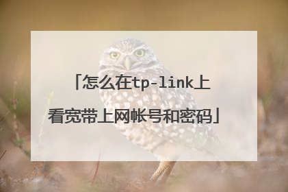 怎么在tp-link上看宽带上网帐号和密码