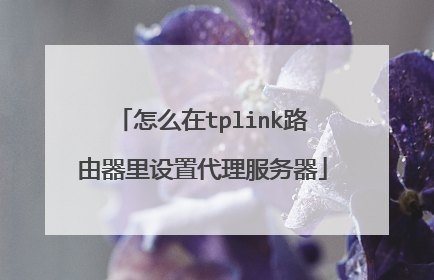 怎么在tplink路由器里设置代理服务器