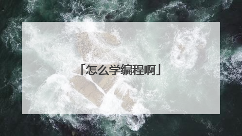 怎么学编程啊