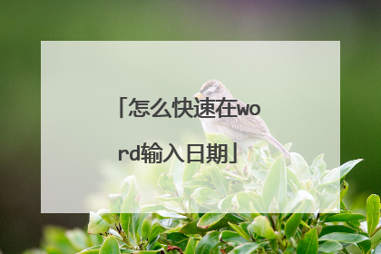 怎么快速在word输入日期
