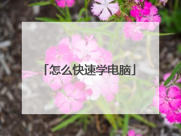 怎么快速学电脑