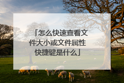 怎么快速查看文件大小或文件属性快捷键是什么