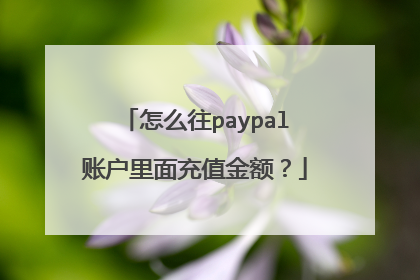 怎么往paypal账户里面充值金额?