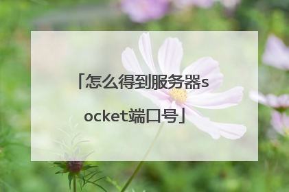怎么得到服务器socket端口号