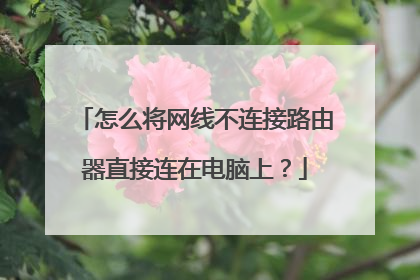 怎么将网线不连接路由器直接连在电脑上?