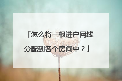 怎么将一根进户网线分配到各个房间中?