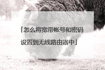 怎么将宽带帐号和密码设置到无线路由器中
