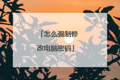 怎么强制修改电脑密码