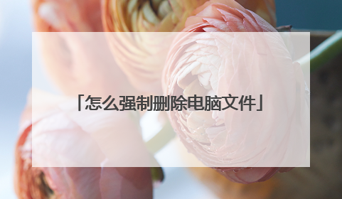 怎么强制删除电脑文件