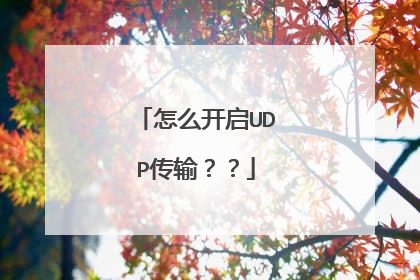 怎么开启UDP传输??