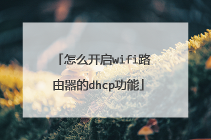 怎么开启wifi路由器的dhcp功能
