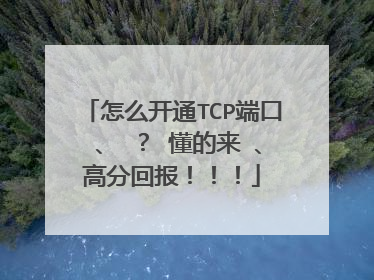 怎么开通TCP端口 、 ? 懂的来 、高分回报!!!