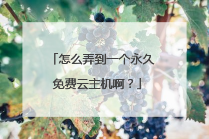怎么弄到一个永久免费云主机啊?
