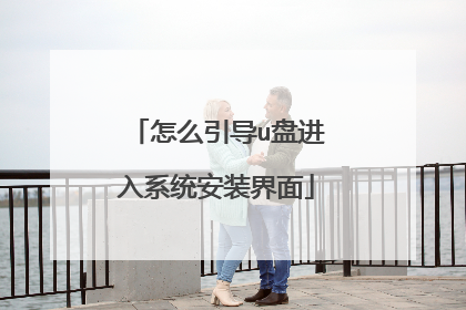 怎么引导u盘进入系统安装界面
