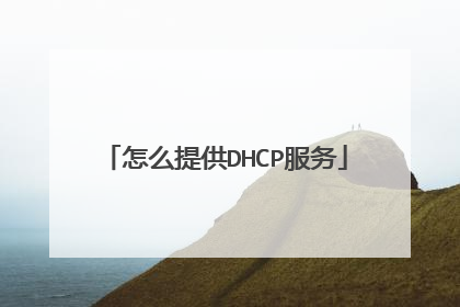 怎么提供DHCP服务