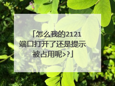 怎么我的2121端口打开了还是提示被占用呢>?