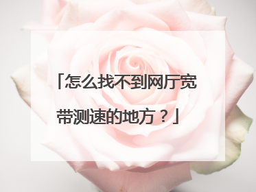 怎么找不到网厅宽带测速的地方?