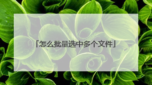 怎么批量选中多个文件