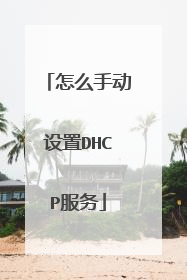 怎么手动设置DHCP服务