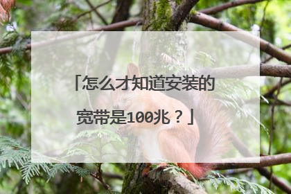 怎么才知道安装的宽带是100兆？