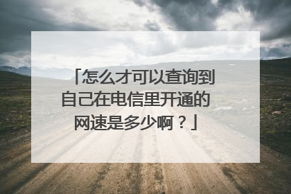 怎么才可以查询到自己在电信里开通的网速是多少啊？