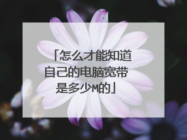 怎么才能知道自己的电脑宽带是多少M的