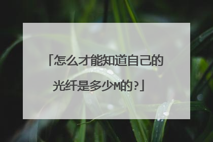 怎么才能知道自己的光纤是多少M的?