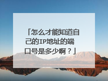 怎么才能知道自己的IP地址的端口号是多少啊？