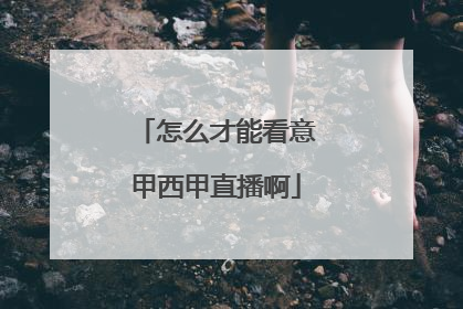 怎么才能看意甲西甲直播啊