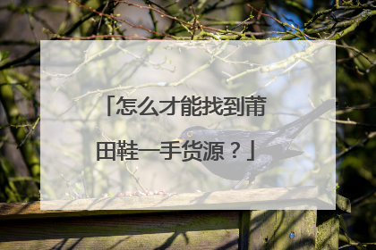 怎么才能找到莆田鞋一手货源？