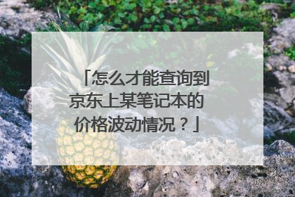 怎么才能查询到京东上某笔记本的价格波动情况?