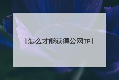 怎么才能获得公网IP